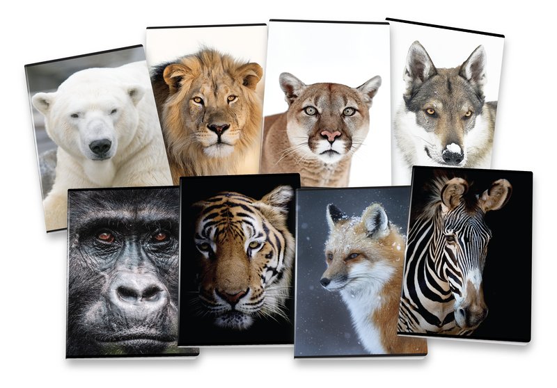Maxiquaderno WILD - Rigatura 0B - Righe 3a elementare - 80 g - A4 - copertine assortite