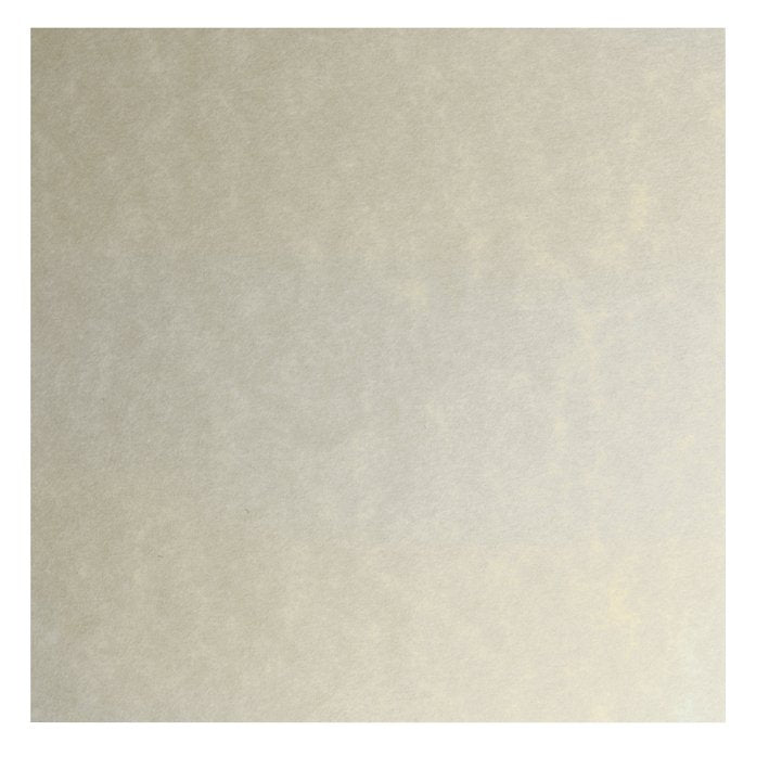 Conf. 50 ff carta pergamena - liscia avorio - A4 - 90 g