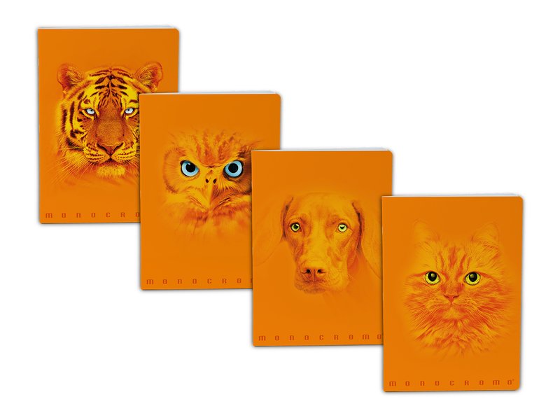 Maxiquaderno Monocromo Orange - rigatura 0Q