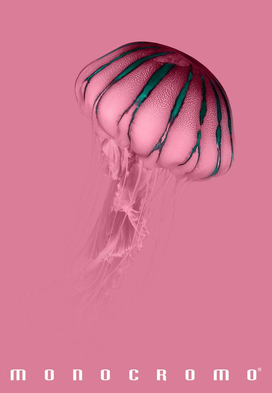 Maxiquaderno Monocromo Pink - rigatura 4M