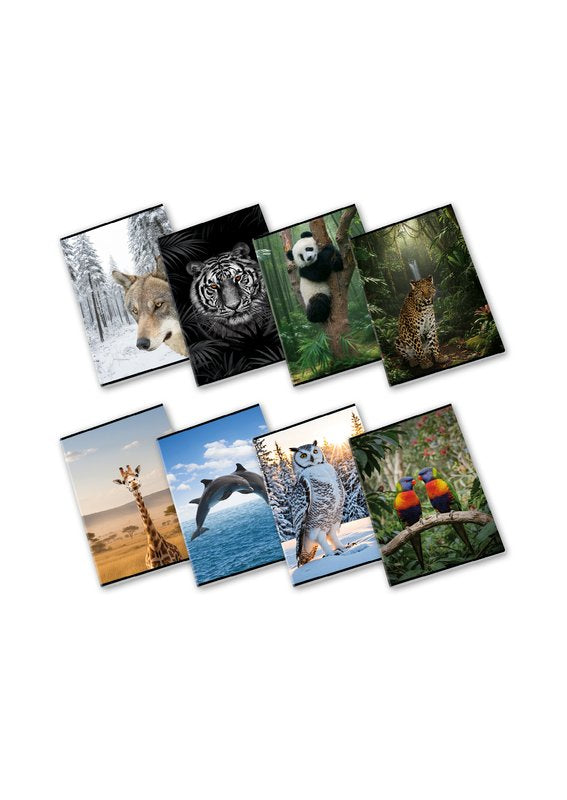 Maxiquaderno WILD - Rigatura 1R - Righe - 80 g - A4 - copertine assortite
