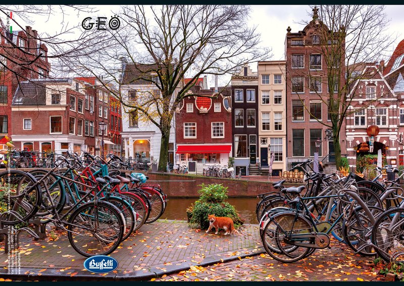 Maxiquaderno GEO - Rigatura 0Q - Quadretto da 5mm con margine - 80 g - A4 - copertine assortite