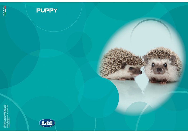 Maxiquaderno PUPPY - Rigatura 4M - Quadretto da 4mm - 80 g - A4 - copertine assortite