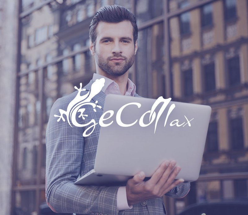 GeCoMax Software Gestionale per Amministratori di Immobili