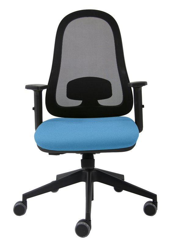 Sedia Formula celeste