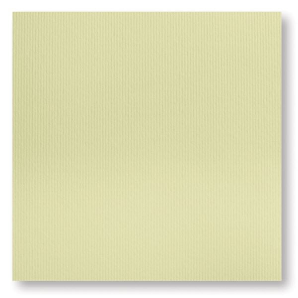 Conf. 50 ff carta avorio - liscia A4 - 100 g