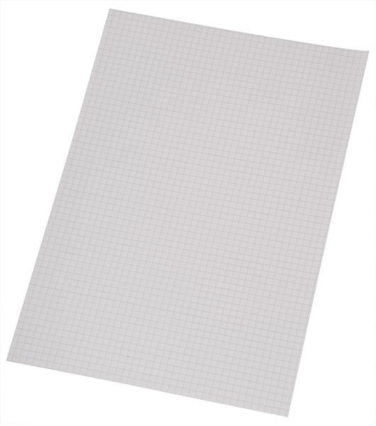 Fogli protocollo - A4  - 60 g - 200 fogli - Rigatura 5M - Quadretto 5mm