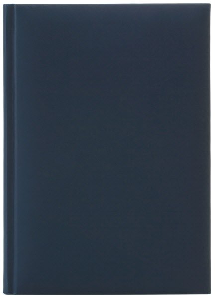Agenda giornaliera due pagine per giorno in sintetico - 2027 - blocco fisso - 21x29,7 cm - blu