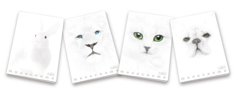 Maxiquaderni Monocromo White  - Rigatura C - Righe 4a e 5a elementare - 100 g - copertine assortite