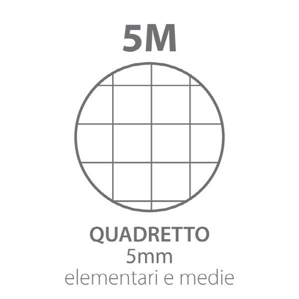 Ricambi Pigna  - Rigatura 5M - Quadretto elementari e medie - 40 fogli - 80 g