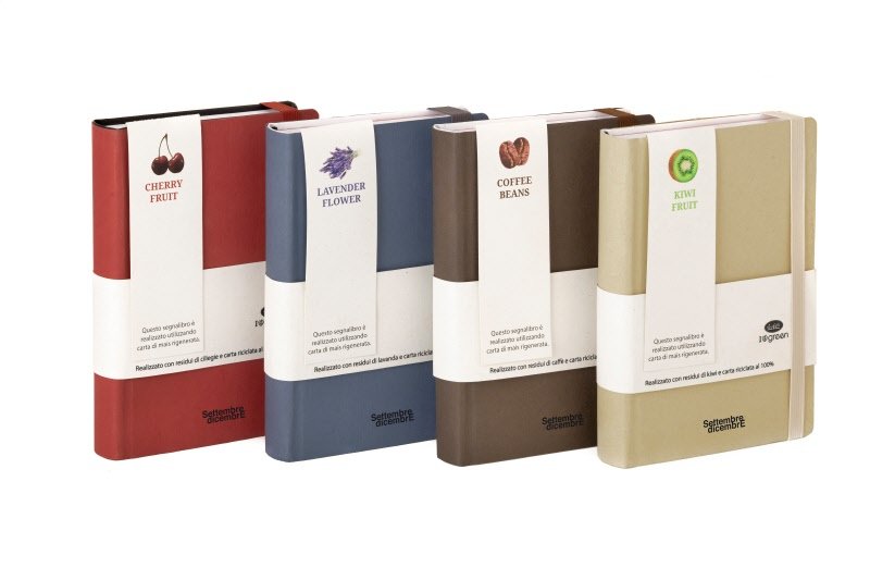 Agenda Accademica 16 mesi settembre-dicembre - tracciato misto giornaliera/settimanale in carta ecologica - interno fisso -  2025/2026 - 11x16,5 cm - elastico di chiusura - kiwi