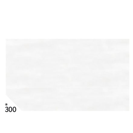 Carta velina - 50 x 70cm - bianco - busta 26 fogli