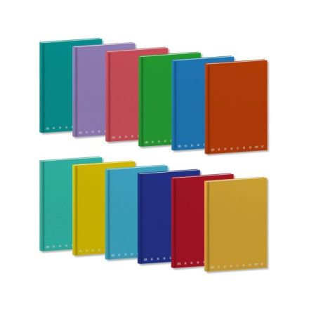 Maxiquaderni cartonati Monocromo - Rigatura 5M - Quadretto elementari e medie - 80 g - copertine assortite