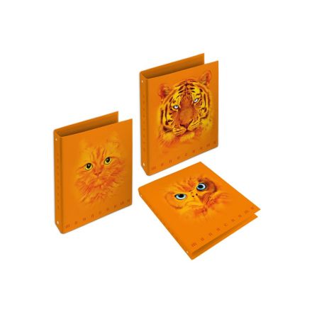 Cartella Pigna Monocromo Orange - 4 anelli tondi - Diametro 30 mm