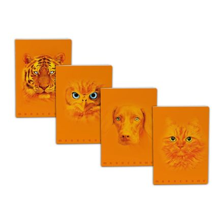 Maxiquaderno Monocromo Orange - rigatura 0Q