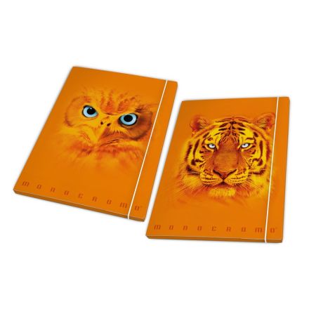 Cartella 3 Lembi A4 Pigna Monocromo Orange Dorso 1,2 - elastico tondo