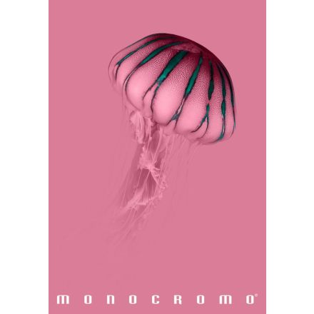 Maxiquaderno Monocromo Pink - rigatura 1R
