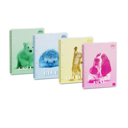 Blocco Spiralato con Fogli Colorati COLOR INSIDE