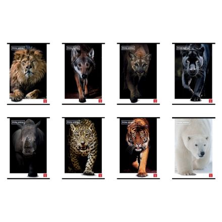 Maxi Quaderno Pigna Animal - 5M - Quadretto da 5mm