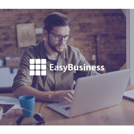 Easy Business Software gestionale aziendale Piccole imprese