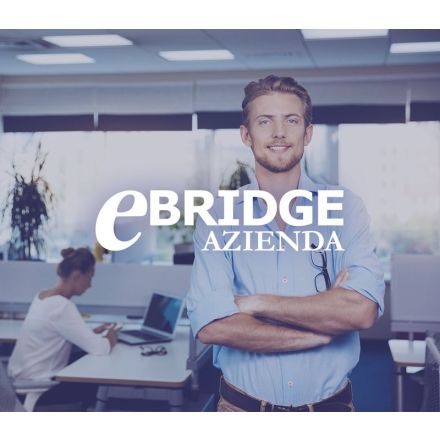 eBridge Azienda Software gestionale per piccole e medie aziende