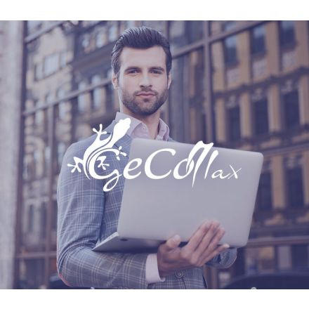 GeCoMax - Software gestione stabili