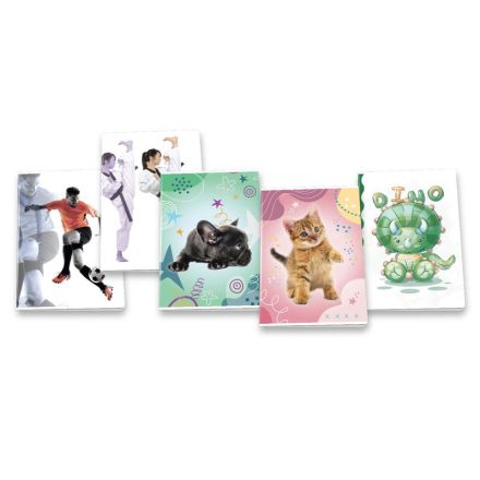 Maxiquaderni Assortiti 100g