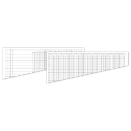 Registro Giornalmastro a 12 conti - 49 pagine prenumerate - 27x39,5 cm