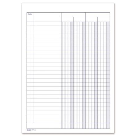 Registro 4 colonne con tracciato su pagina singola - 100 pagine - 24x17 cm