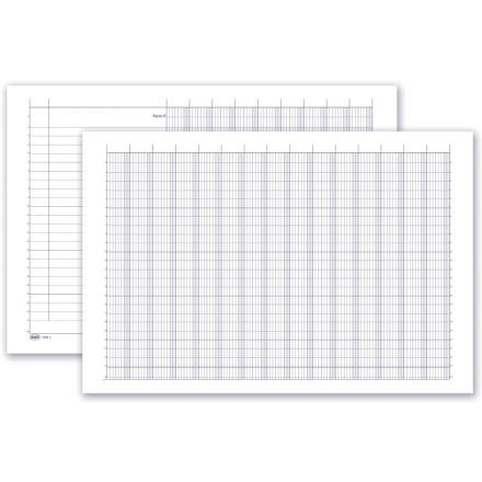 Registro 24 colonne con tracciato su pagina doppia testatina a bandella ripiegabile - 50 pagine - 24x31,5 cm