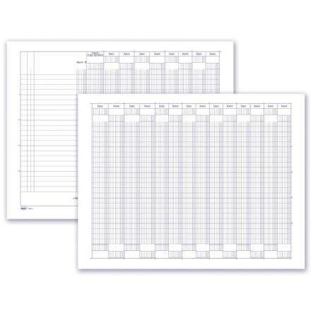 Registro Giornalmastro a 11 conti - 49 pagine - 24x31,5 cm