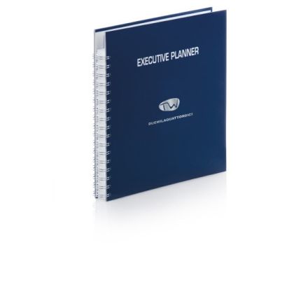 Planner giornaliero non datato 12 mesi multiappuntamenti - 24x22 cm - con spirale - blu