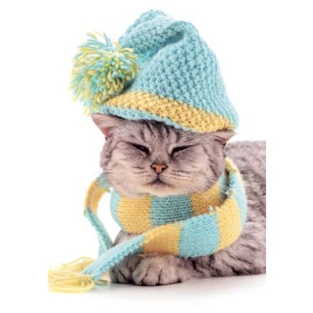 Maxiquaderno Collezione Puppy - Rigatura 1R - Righe medie e superiori - 80 g - A4 - copertine assortite