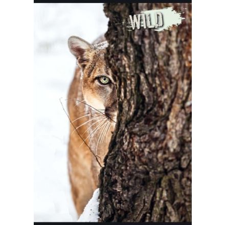 Maxiquaderno Collezione Wild - Rigatura 4M - Quadretto elementari e medie - 80 g - A4 - copertine assortite