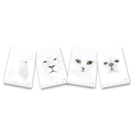 Maxiquaderni Monocromo White - Rigatura 4M - Quadretto elementari e medie - 100 g - copertine assortite