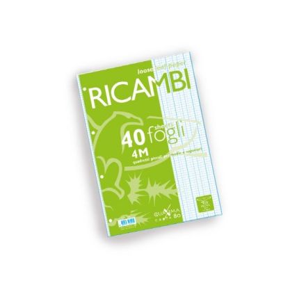 Ricambi Bianchi Quaxima A5 40 Ff. - Rigatura Q - Quadretto con margine - Peso g/mq 80 - Foratura 4 fori