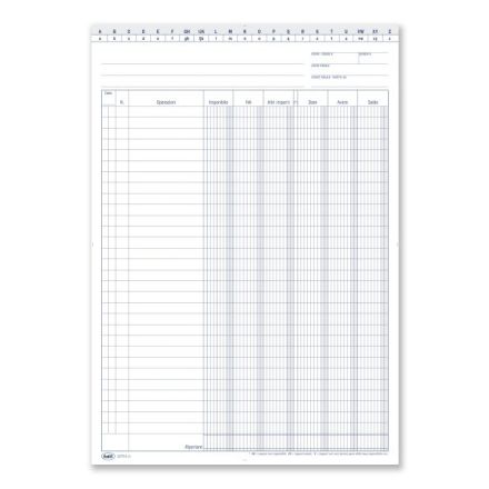 Scheda Dare/Avere/Saldo (in evidenza imponibile e IVA) con naselli A/Z - Scheda da 200 gr. - 30,2x21 cm