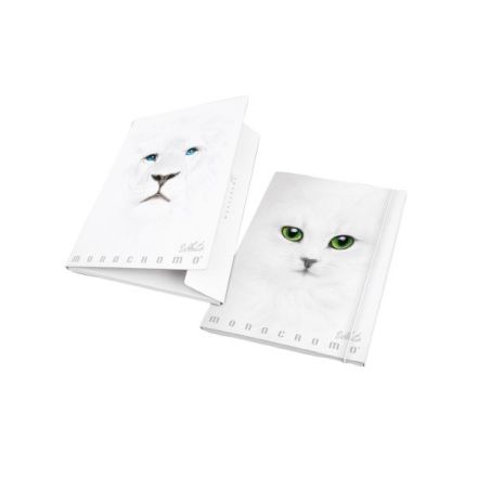 Cartella 3 Lembi A4 Monocromo White Dorso 1,2 - Dorso 1,2 - Elastico Tondo - Colori assortiti