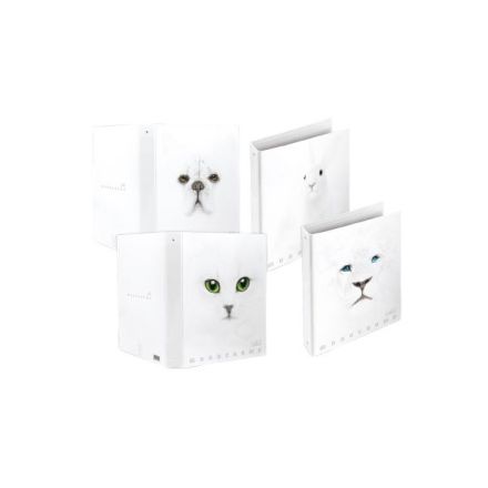 Cartella ad Anelli A4 Monocromo White 4 Anelli 27X32 - Formato 27x32 - Formato anelli 30 mm - Formato utile A4 - Colori assortiti