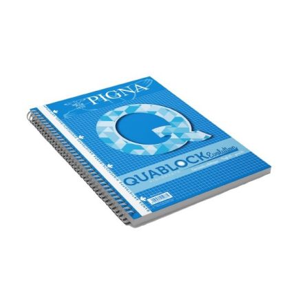 Blocco A4 QUABLOCK EVOLUTION con fori e banda rinforzata . Rigatura 5M